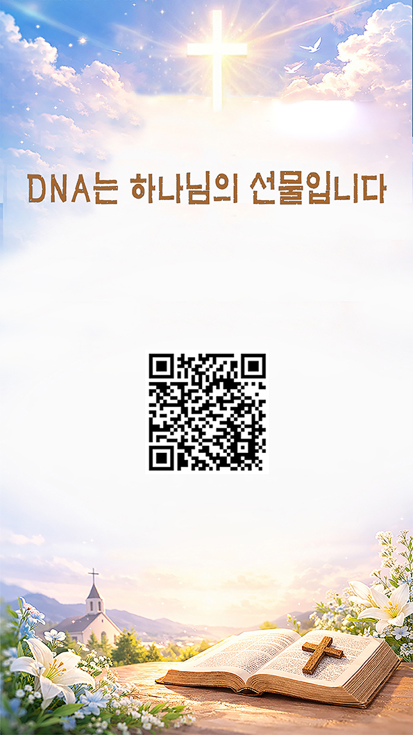 시스템 1
