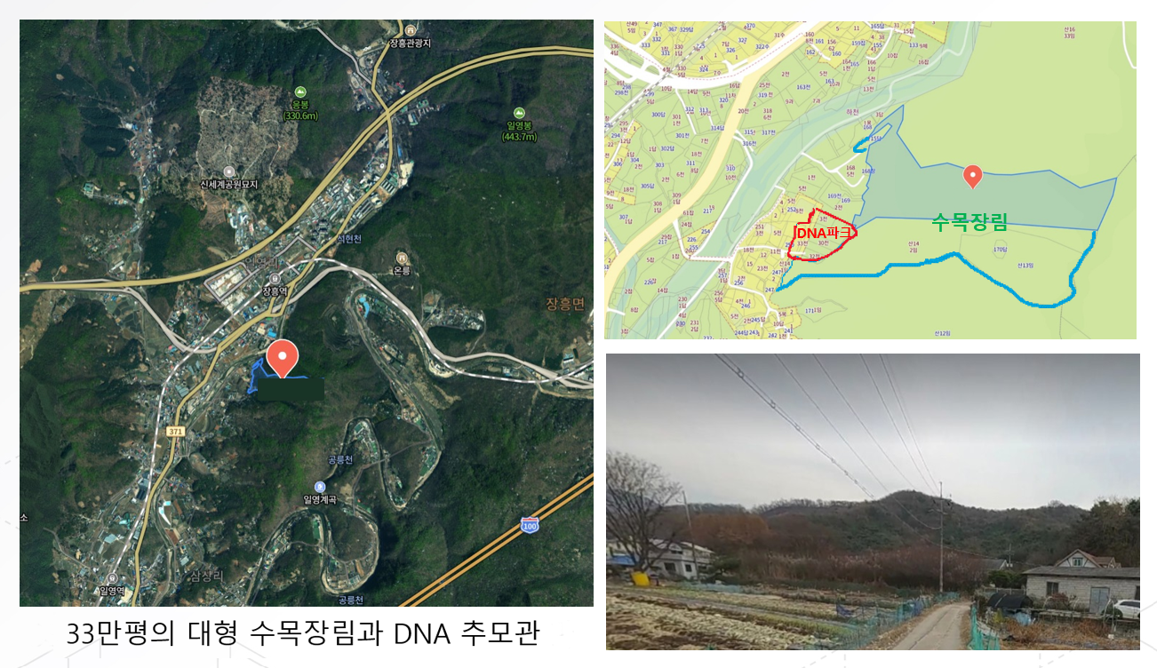 수목장림 전경